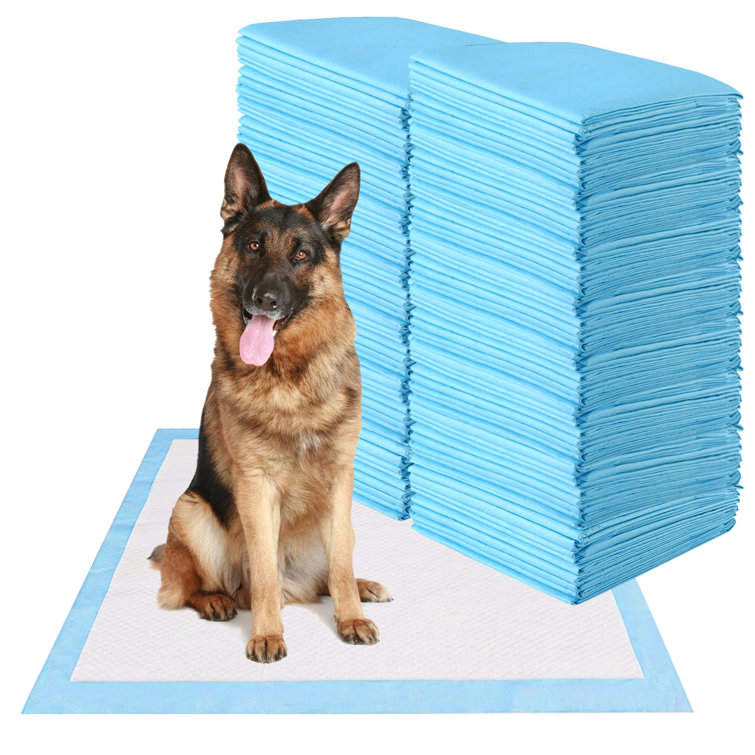 Amazonbasics pet training top and puppy pads